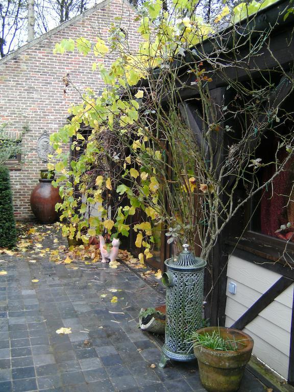 B&B Arte Berlare Rom bilde